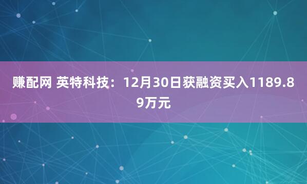 赚配网 英特科技：12月30日获融资买入1189.89万元