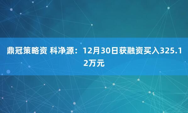 鼎冠策略资 科净源：12月30日获融资买入325.12万元