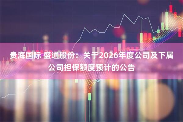 贵海国际 盛通股份：关于2026年度公司及下属公司担保额度预计的公告
