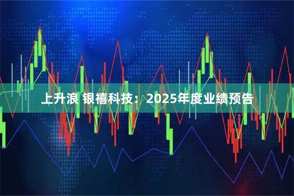 上升浪 银禧科技：2025年度业绩预告
