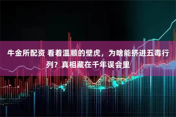 牛金所配资 看着温顺的壁虎，为啥能挤进五毒行列？真相藏在千年误会里